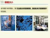 2.5.1真菌、細(xì)菌和病毒-第3課時 病毒（教學(xué)課件）——初中生物學(xué)蘇教版（2024）七年級上冊