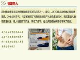 2.5.2微生物和人類的關(guān)系（教學(xué)課件）——初中生物學(xué)蘇教版（2024）七年級上冊