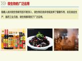 2.5.2微生物和人類的關(guān)系（教學(xué)課件）——初中生物學(xué)蘇教版（2024）七年級上冊
