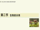 2.6.1生物的分類（教學(xué)課件）——初中生物學(xué)蘇教版（2024）七年級上冊