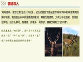2.6.1生物的分類（教學(xué)課件）——初中生物學(xué)蘇教版（2024）七年級上冊