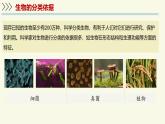2.6.1生物的分類（教學(xué)課件）——初中生物學(xué)蘇教版（2024）七年級上冊