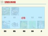 2.6.1生物的分類（教學(xué)課件）——初中生物學(xué)蘇教版（2024）七年級上冊