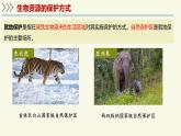 2.6.3生物資源的保護（教學(xué)課件）——初中生物學(xué)蘇教版（2024）七年級上冊