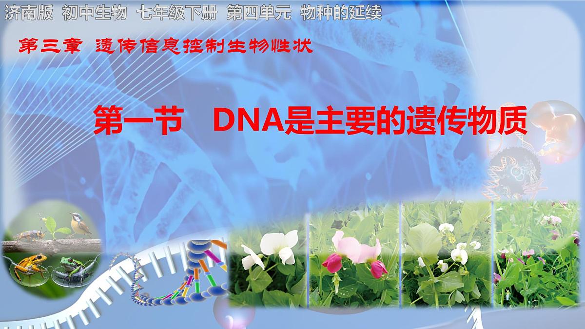 初中生物济南版（2024）七年级下册4.3.1 DNA是主要的遗传物质 课件第1页