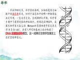 初中生物濟(jì)南版（2024）七年級(jí)下冊(cè)4.3.1  DNA是主要的遺傳物質(zhì) 課件
