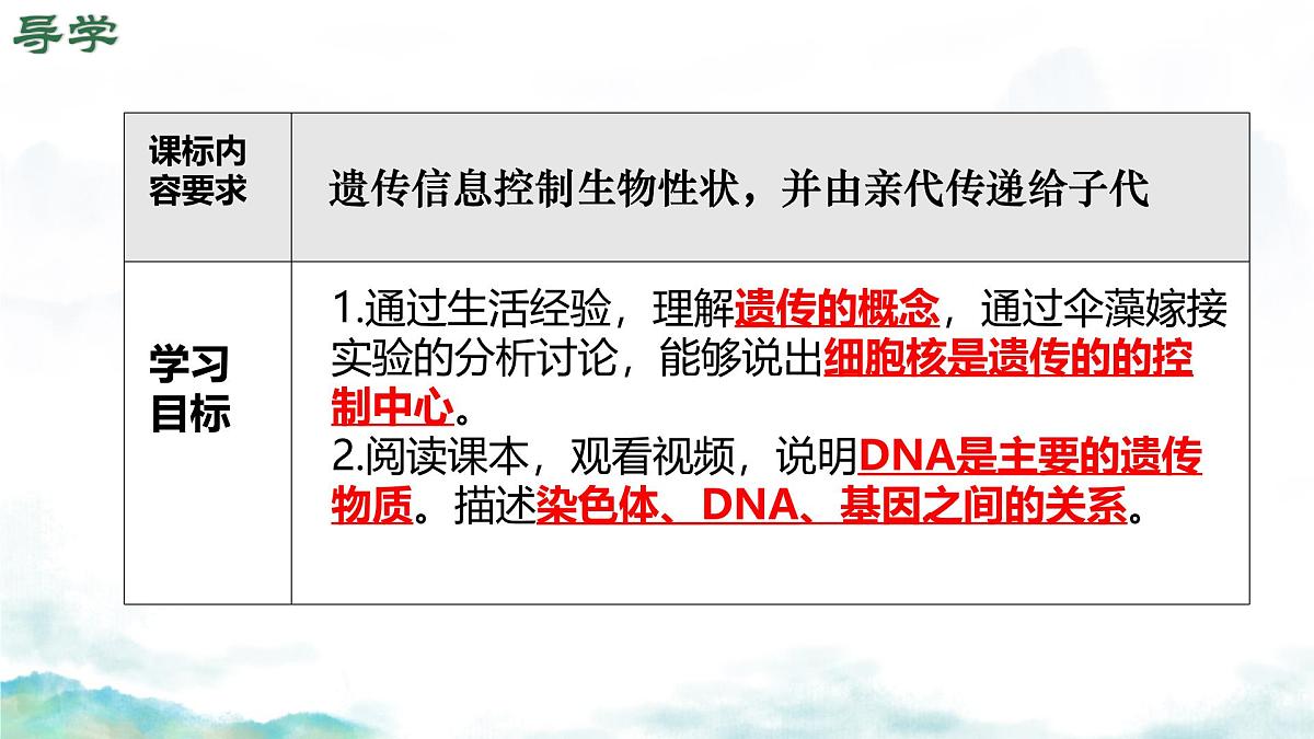 初中生物济南版（2024）七年级下册4.3.1 DNA是主要的遗传物质 课件第3页