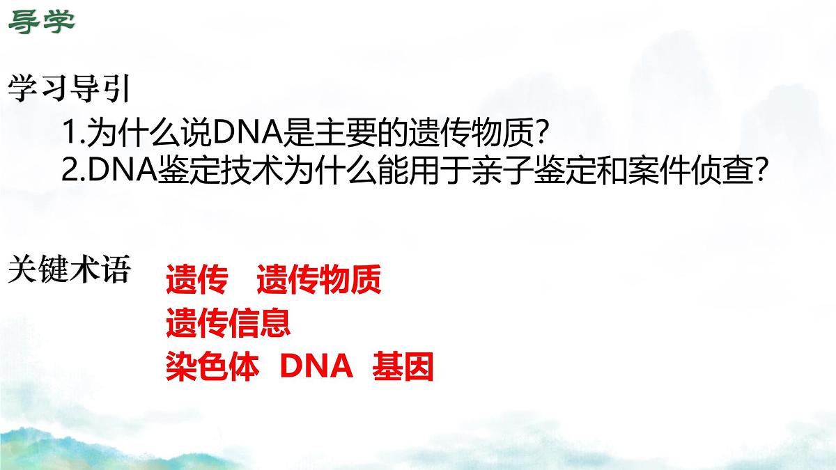 初中生物济南版（2024）七年级下册4.3.1 DNA是主要的遗传物质 课件第4页