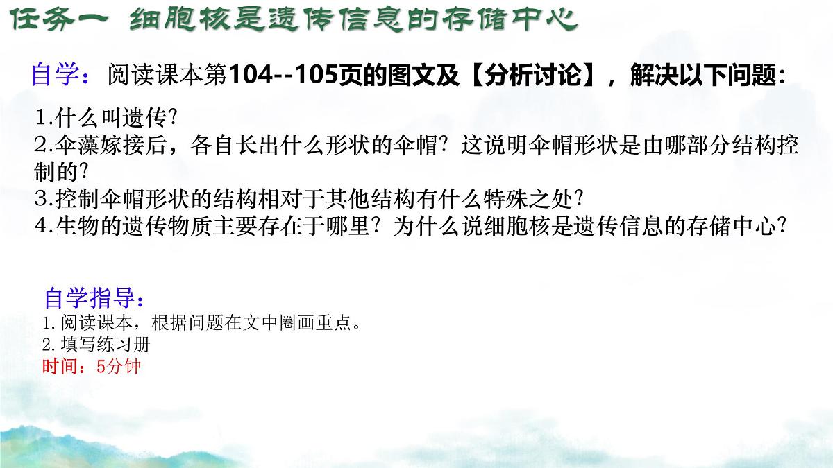 初中生物济南版（2024）七年级下册4.3.1 DNA是主要的遗传物质 课件第5页