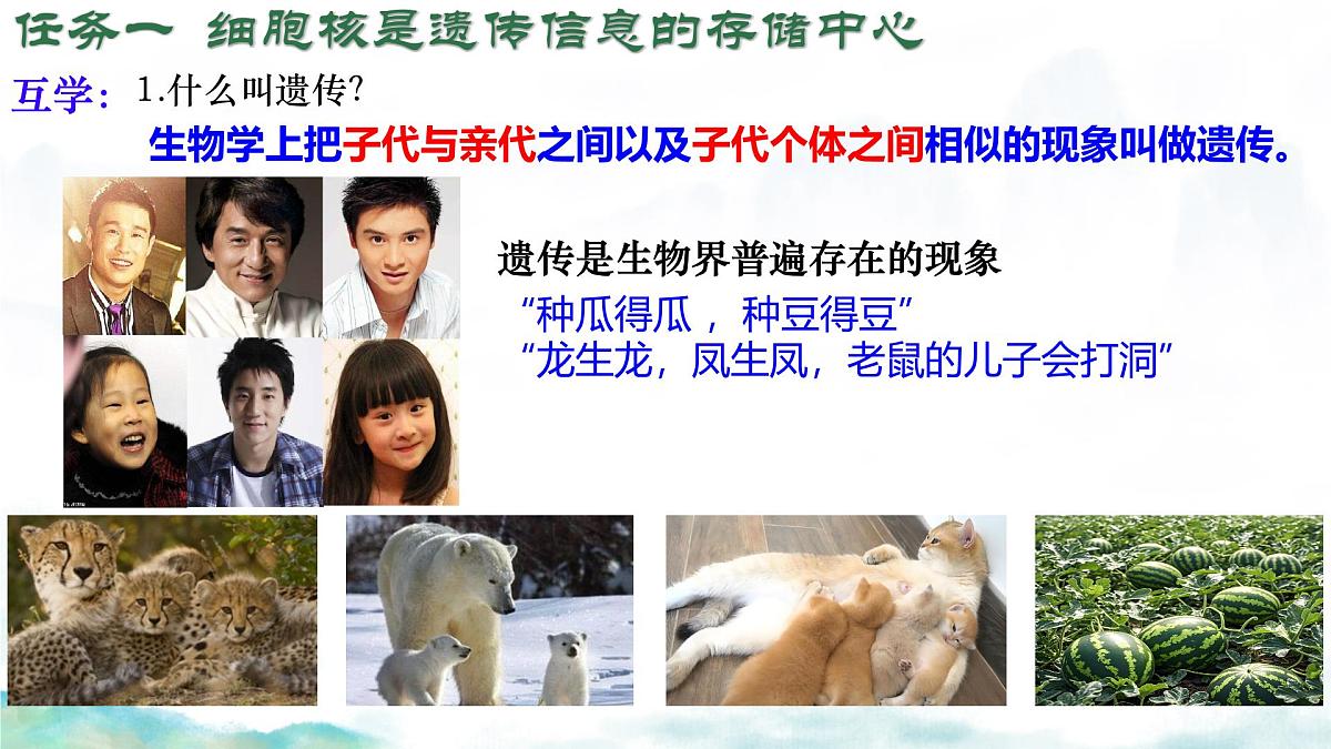 初中生物济南版（2024）七年级下册4.3.1 DNA是主要的遗传物质 课件第6页