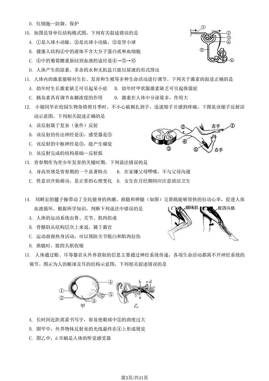 2023北京延庆初二一模生物试卷（含答案）第3页