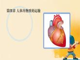 初中生物人教版（2024）七年級下冊4.4 人體內(nèi)物質(zhì)的運輸 復習課件