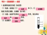 初中生物人教版（2024）七年級下冊4.4 人體內(nèi)物質(zhì)的運輸 復習課件