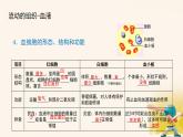 初中生物人教版（2024）七年級下冊4.4 人體內(nèi)物質(zhì)的運輸 復習課件