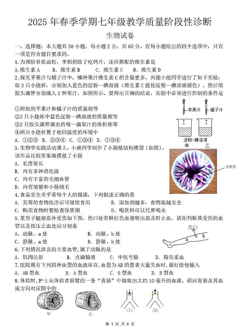 广东省惠州市博罗县2024-2025学年七年级下学期5月月考生物试题第1页