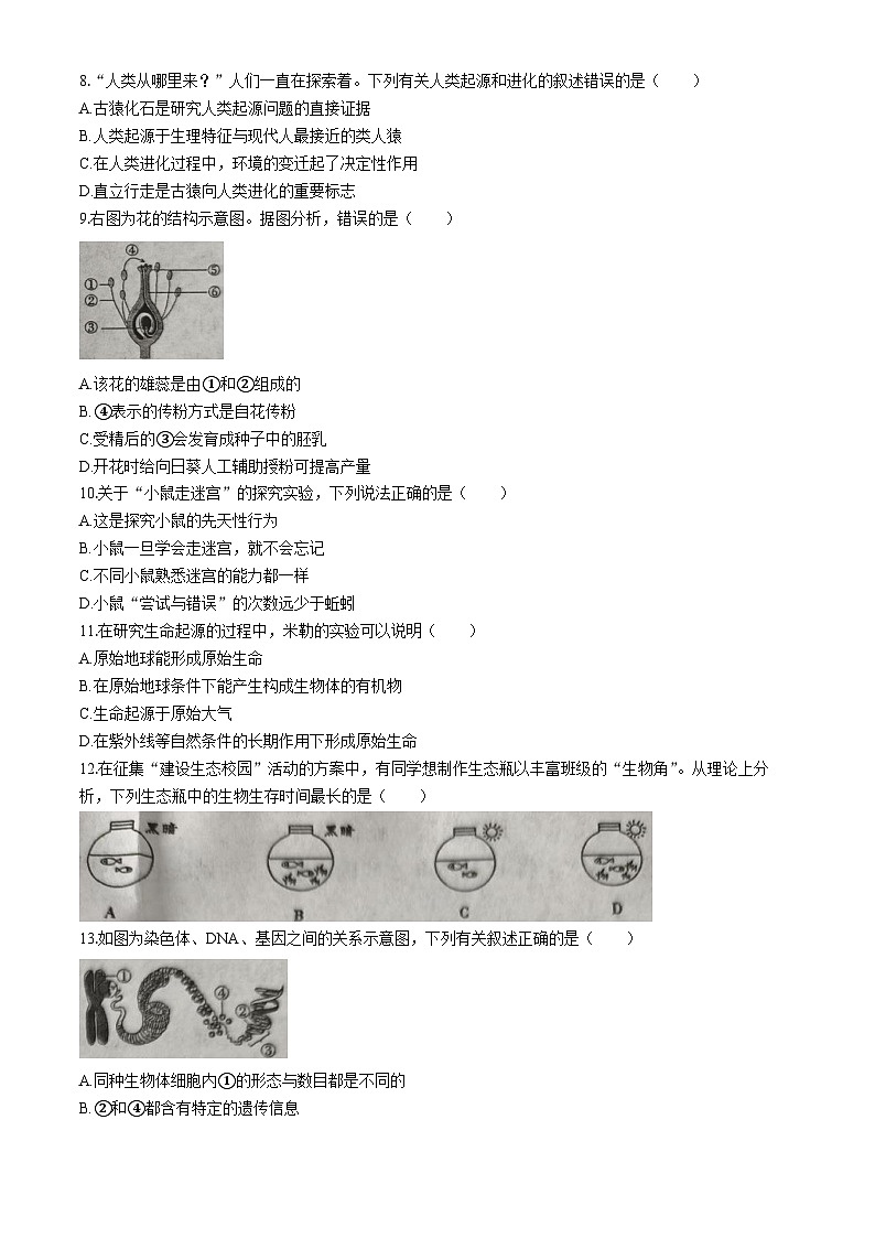 河南省洛阳市洛宁县2024-2025学年八年级下学期期中生物试题第2页
