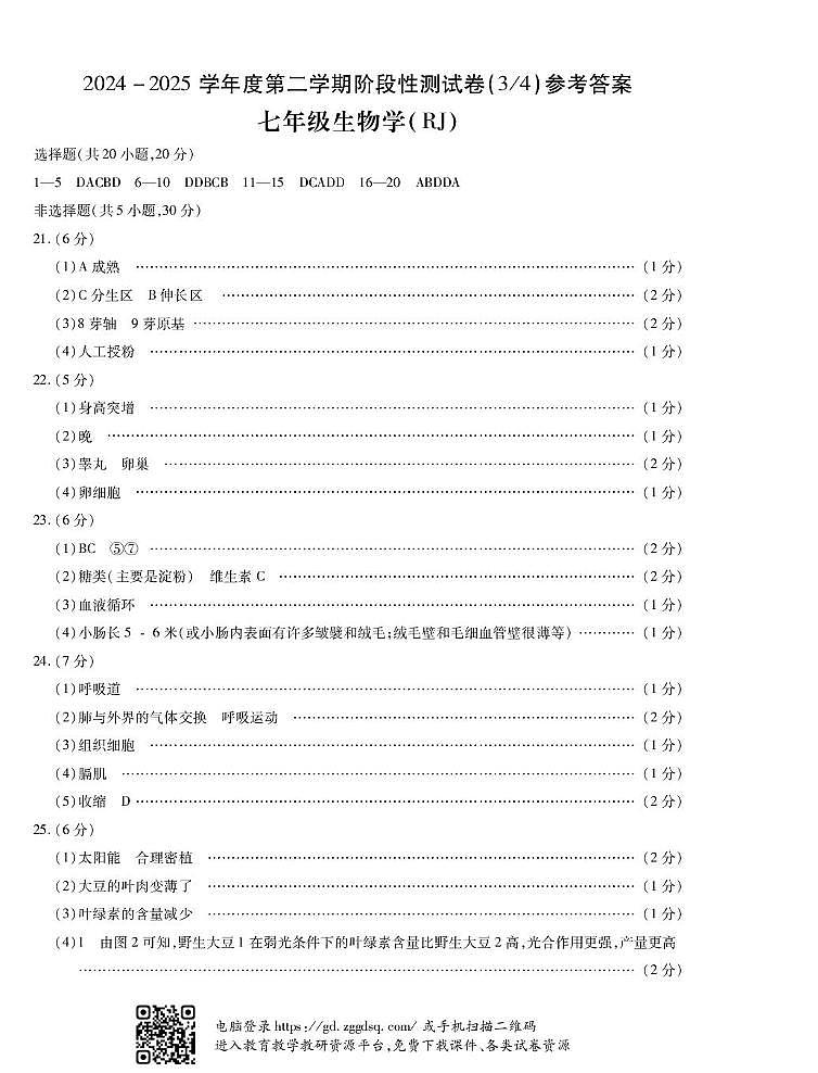 2024-2025七年级生物第二次月考试卷 答案 四分之三7生RJ答案第1页
