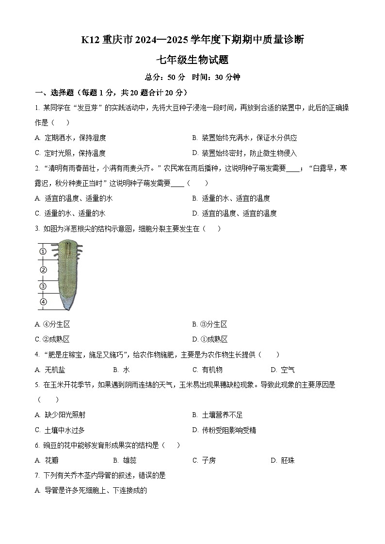 重庆市实验中学教育集团2024-2025学年七年级下学期期中生物试题第1页