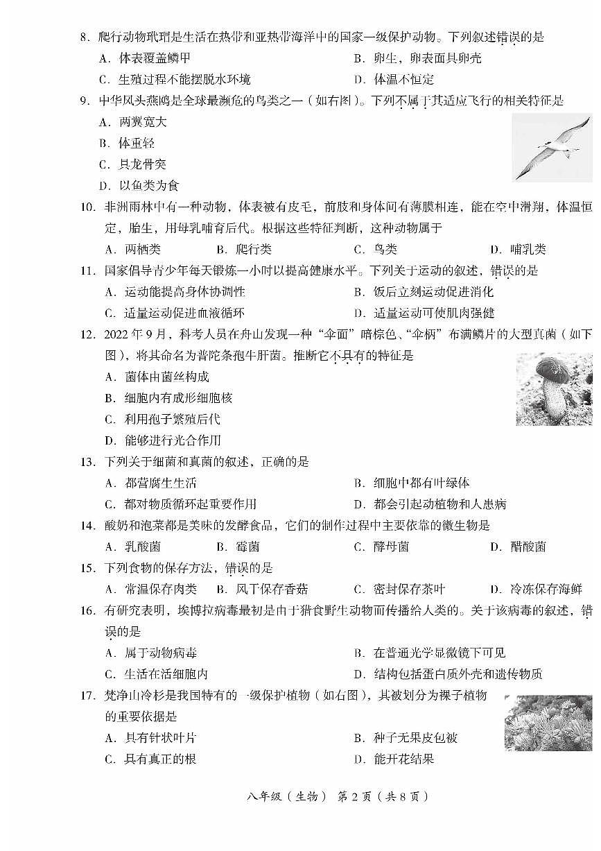 2024北京海淀初二（上）期末生物试卷（含答案）第2页