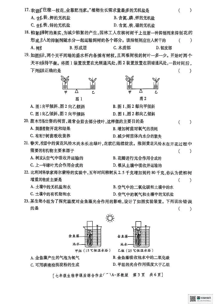 陕西省汉中市西乡县第三中学2024-2025学年七年级下学期6月月考生物试题（PDF版，含答案）第3页
