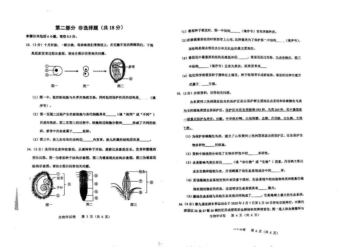 辽宁省阜新市第四中学2024-2025学年八年级下学期6月月考生物试题 （pdf版，含答案）第2页
