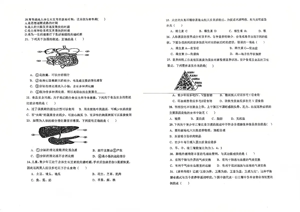 海南省万宁市第二中学2024-2025学年七年级下学期第二次月考生物试题 （pdf版，含答案）第2页