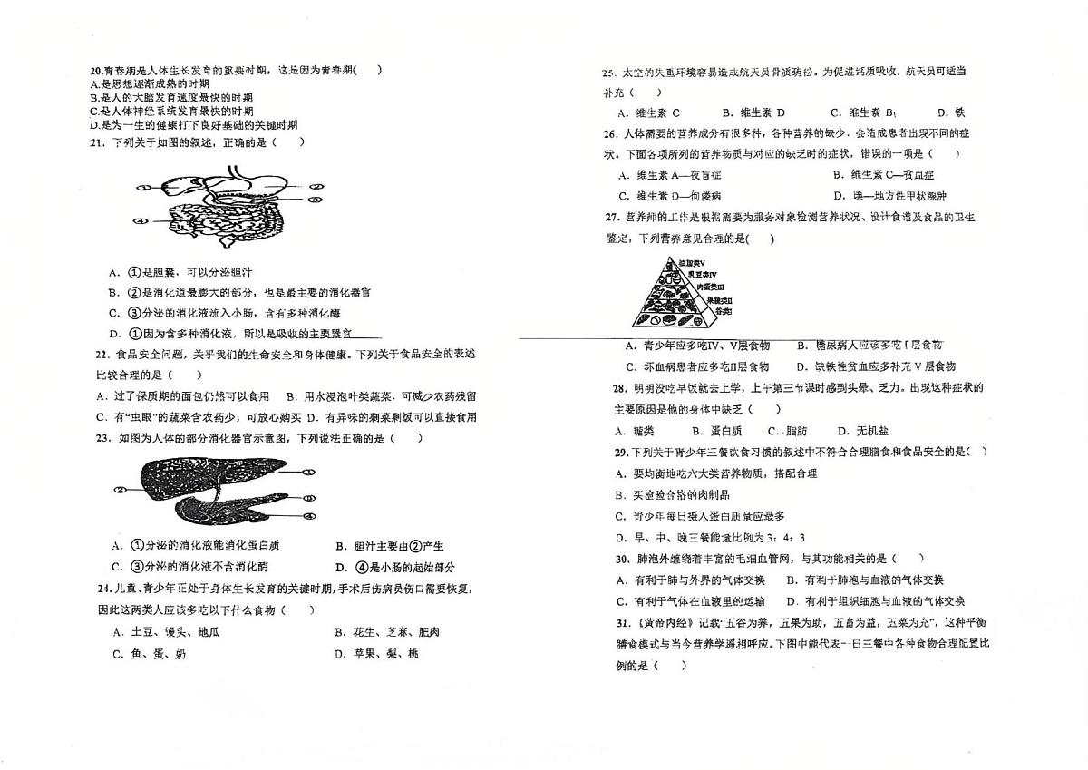 海南省万宁市第二中学2024-2025学年七年级下学期第二次月考生物试题 （pdf版，含答案）第2页