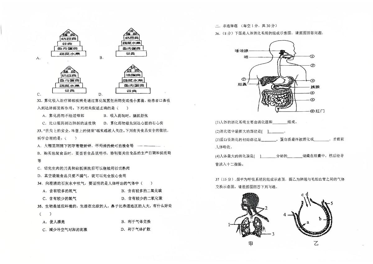 海南省万宁市第二中学2024-2025学年七年级下学期第二次月考生物试题 （pdf版，含答案）第3页