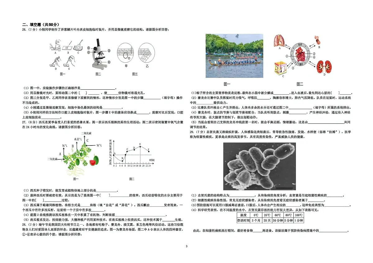 山东省德州市德城区三校联考2024-2025学年八年级下学期第二次月考生物试题（图片版，含答案）第3页