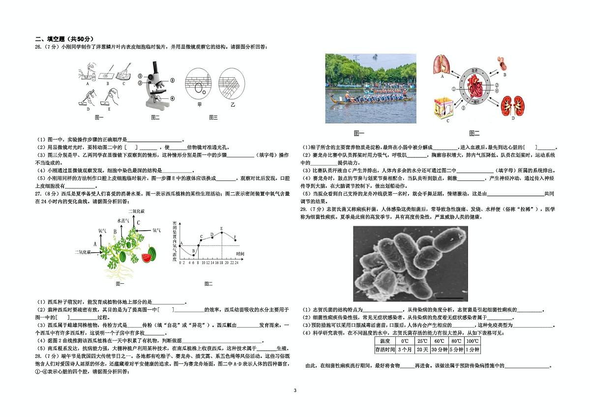 山东省德州市德城区三校联考2024-2025学年八年级下学期第二次月考生物试题（图片版，含答案）第3页
