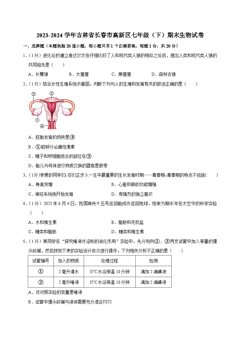 吉林省长春市高新区2023-2024学年七年级下学期期末考试生物试卷第1页