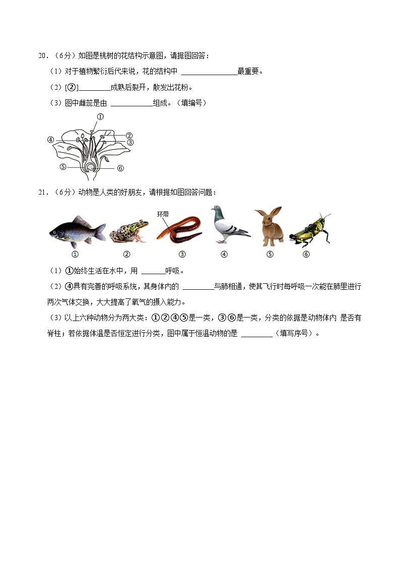 江苏省扬州市宝应县2023-2024学年七年级下学期6月期末考试生物试题第3页