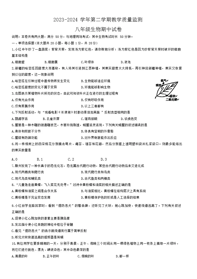 江西省赣州市崇义县2023-2024学年八年级下学期4月期中生物试题第1页