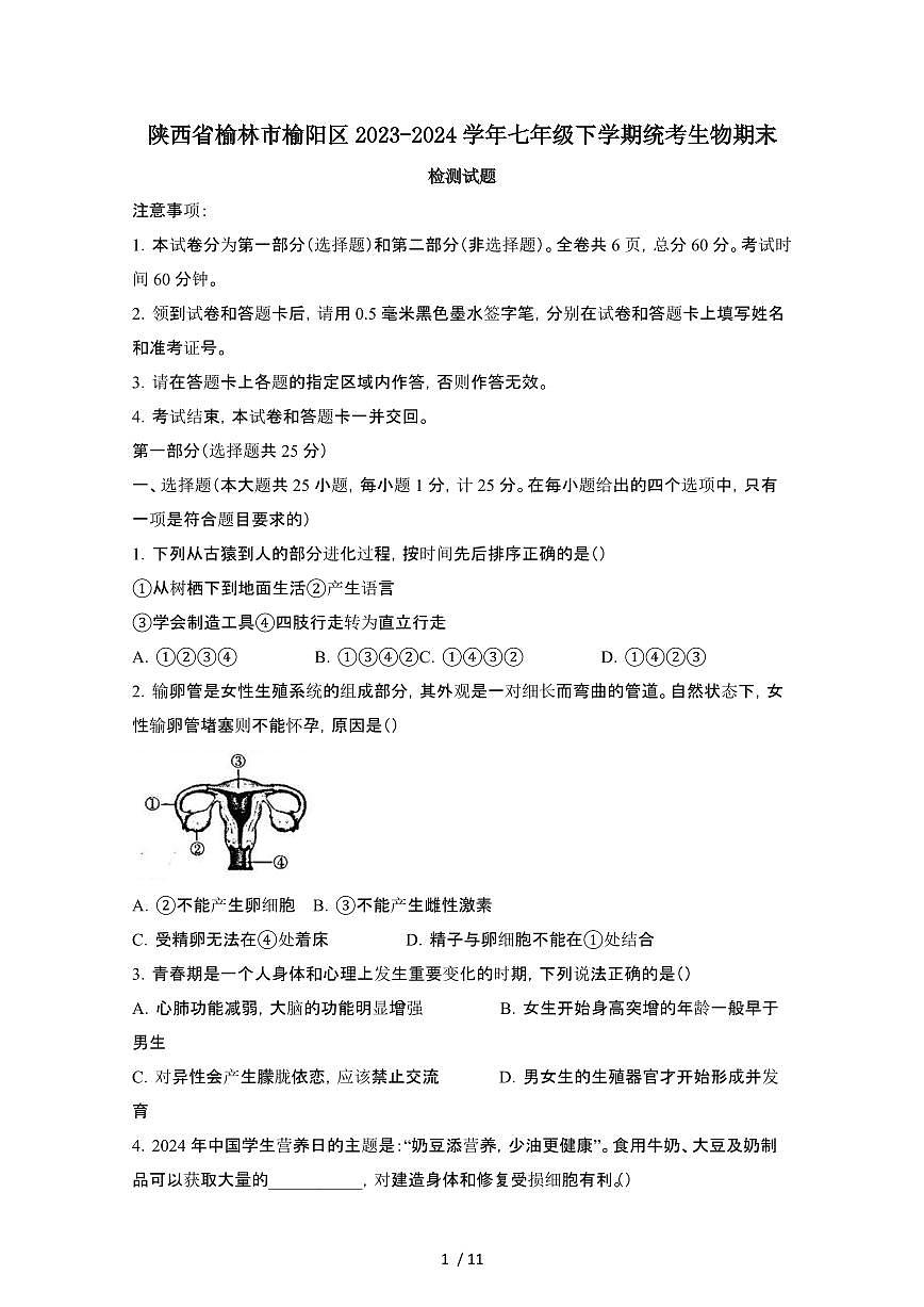 陕西榆林榆阳区2023_2024学年七年级第二学期统考生物期末试卷[含答案]第1页