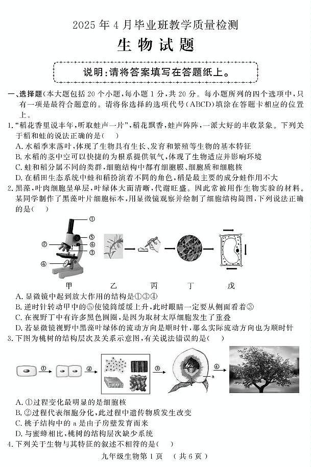 2025年山东省菏泽市曹县中考一模生物试题（中考模拟）第1页
