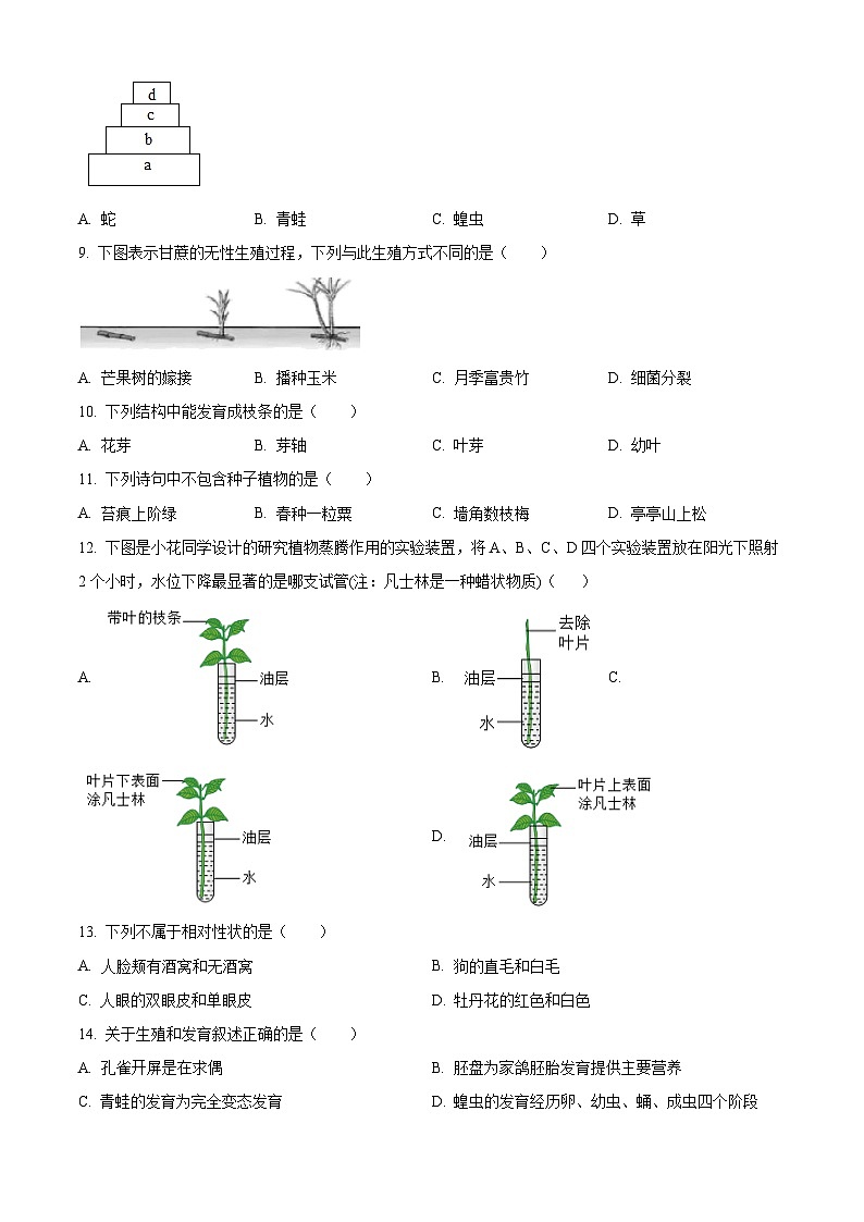 2025年海南省海口市中考模拟生物试题（二）（中考模拟）第2页