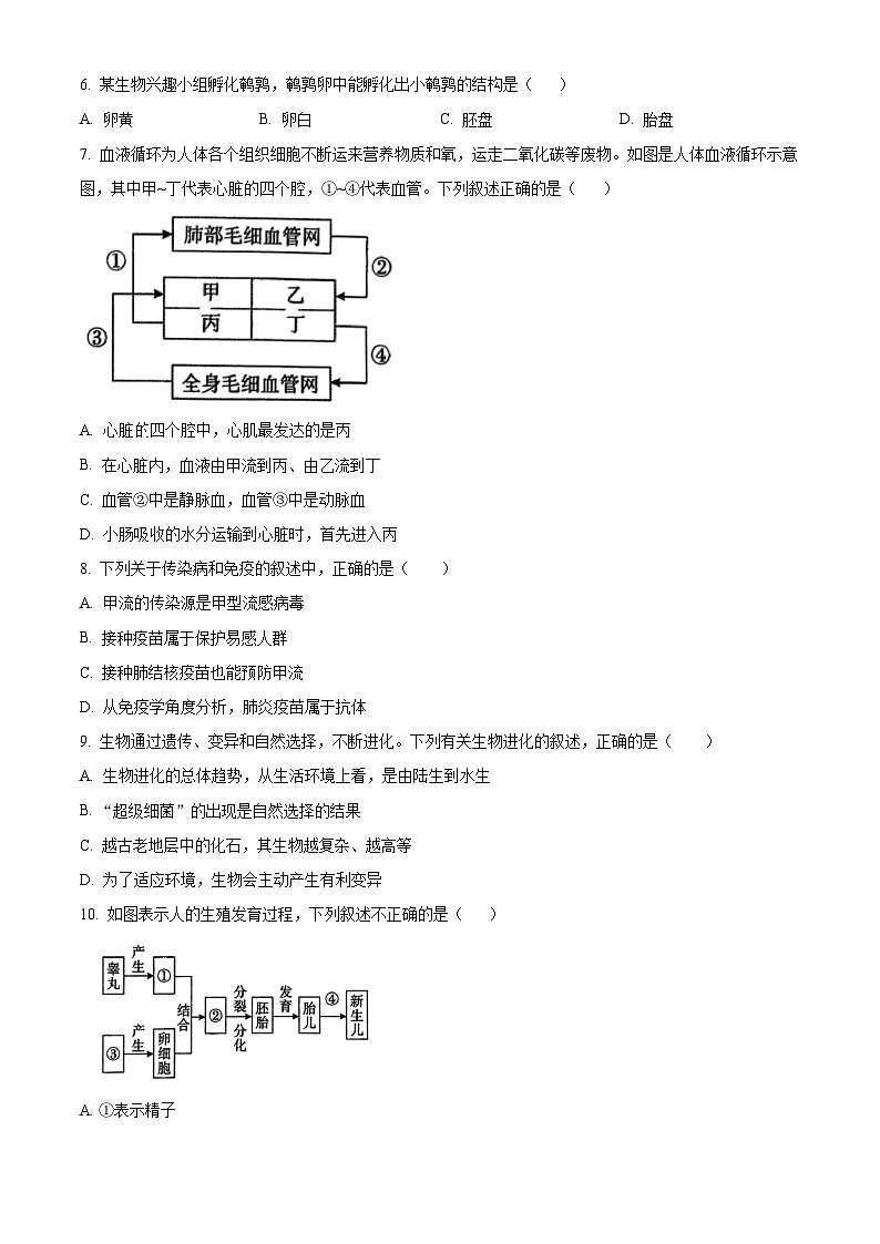 2025年河南省驻马店市八年级三模生物试题（中考模拟）第2页