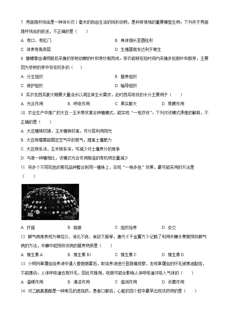 2025年山东省淄博市高新区中考二模生物试题（中考模拟）第2页