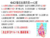 初中 生物 人教版（2024）七年級(jí)下冊(cè)4.4.3 輸送血液的泵——心臟 課件