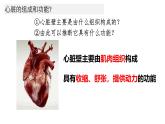 初中 生物 人教版（2024）七年級(jí)下冊(cè)4.4.3 輸送血液的泵——心臟 課件