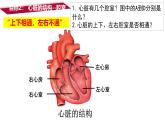初中 生物 人教版（2024）七年級(jí)下冊(cè)4.4.3 輸送血液的泵——心臟 課件