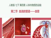初中 生物 人教版（2024）七年級(jí)下冊(cè)4.4.2 血流的管道——血管 課件