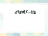 初中 生物 人教版（2024）七年級下冊4.4.1 流動的組織——血液 課件