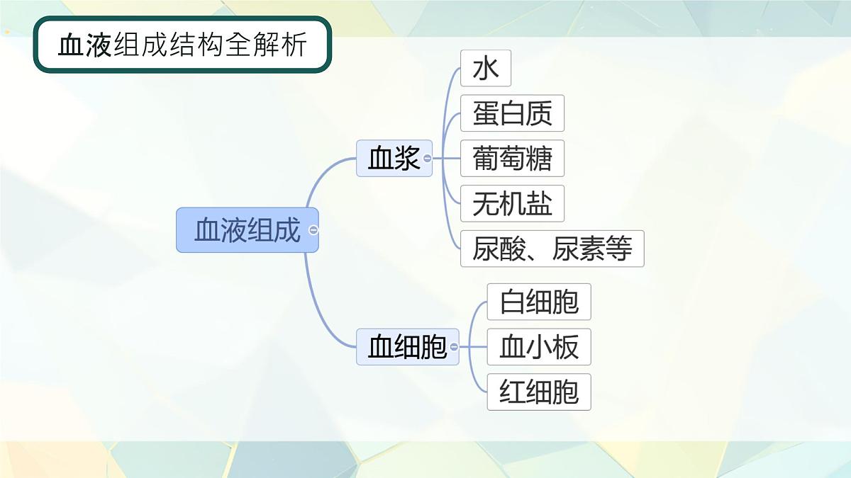 初中 生物 人教版（2024）七年级下册4.4.1 流动的组织——血液 课件第6页