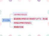初中 生物 蘇教版（2024）七年級下冊4.11.2 植物的呼吸作用 課件