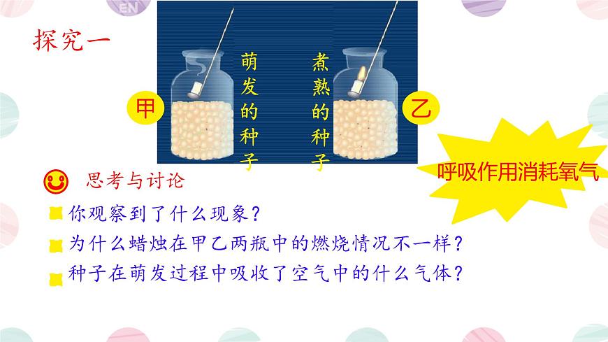 初中 生物 苏教版（2024）七年级下册4.11.2 植物的呼吸作用 课件第3页