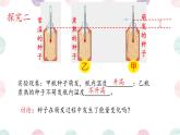 初中 生物 蘇教版（2024）七年級下冊4.11.2 植物的呼吸作用 課件