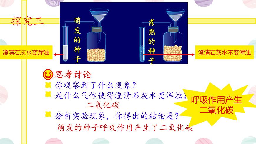 初中 生物 苏教版（2024）七年级下册4.11.2 植物的呼吸作用 课件第6页