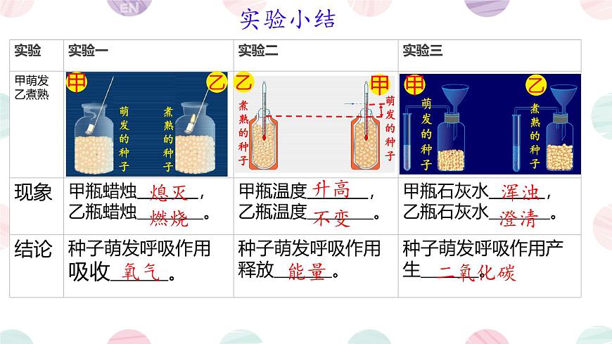 初中 生物 苏教版（2024）七年级下册4.11.2 植物的呼吸作用 课件第7页