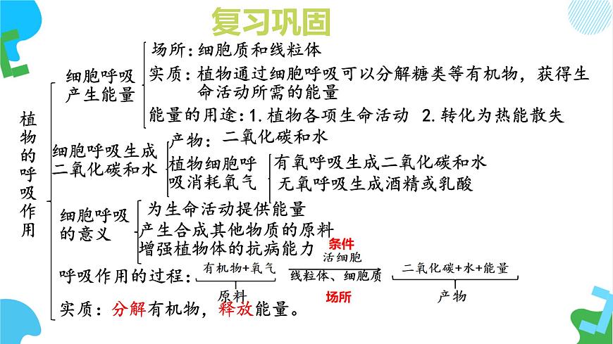 初中 生物 苏教版（2024）七年级下册4.11.3 光合作用和呼吸作用原理的应用 课件第1页